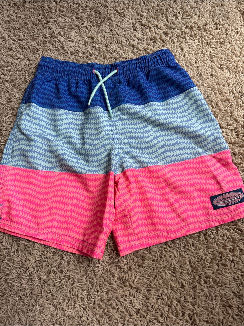 Vineyard Vines Colorblock Swim Trunks in Blue, Light Blue & Hot Pink